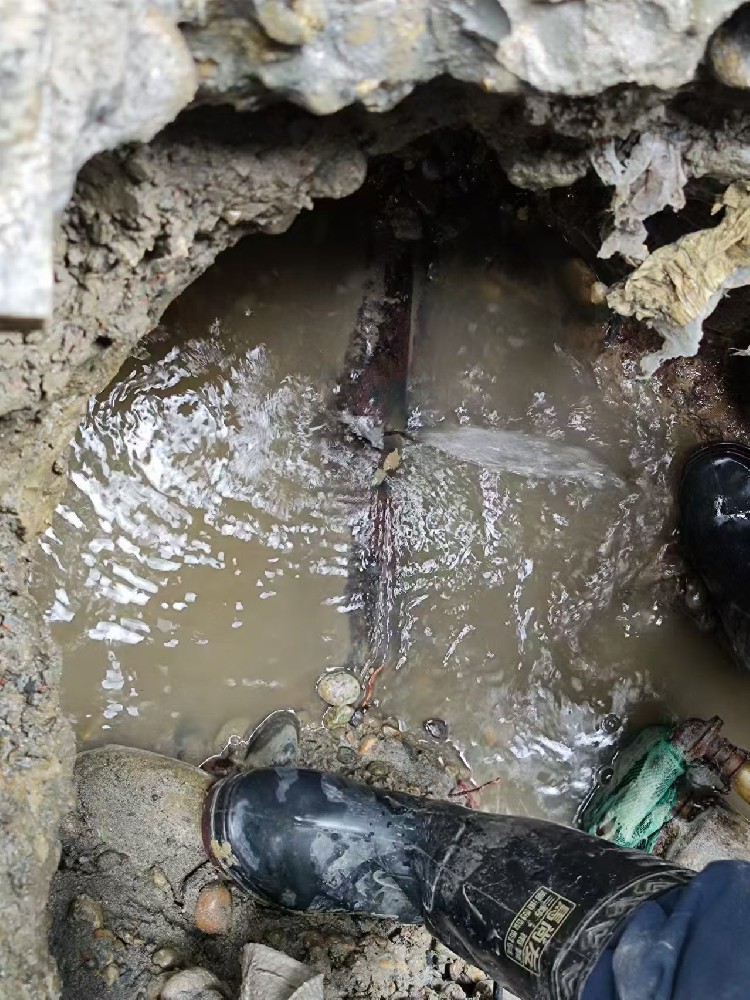 云浮本地服务：小区水管漏水检测维修